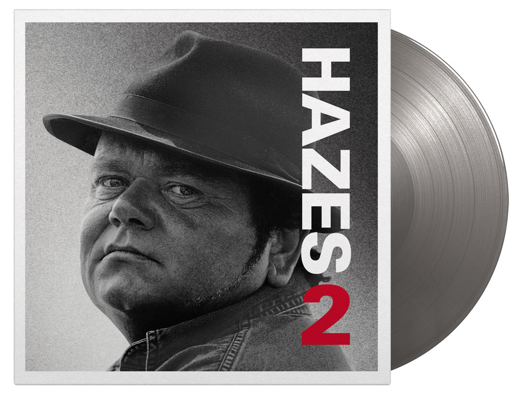 Hazes 2 (Grey 2LP) - André Hazes - musicstation.be