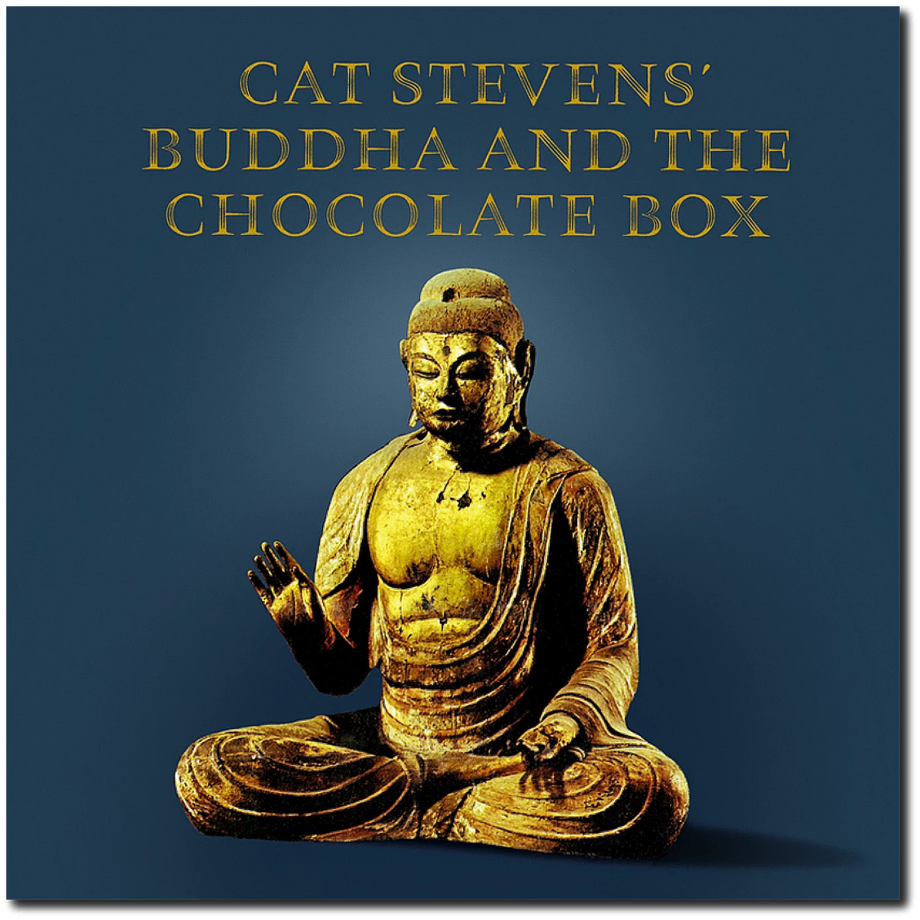 Buddha and the Chocolate Box 180g Black Vinyl LP – Musicstation.be