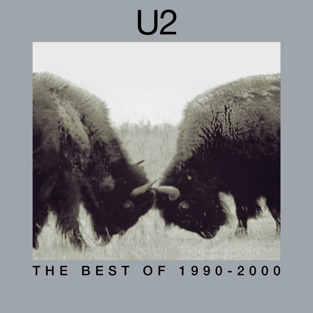 The Best Of 1990-2000 (2LP) - U2 - musicstation.be