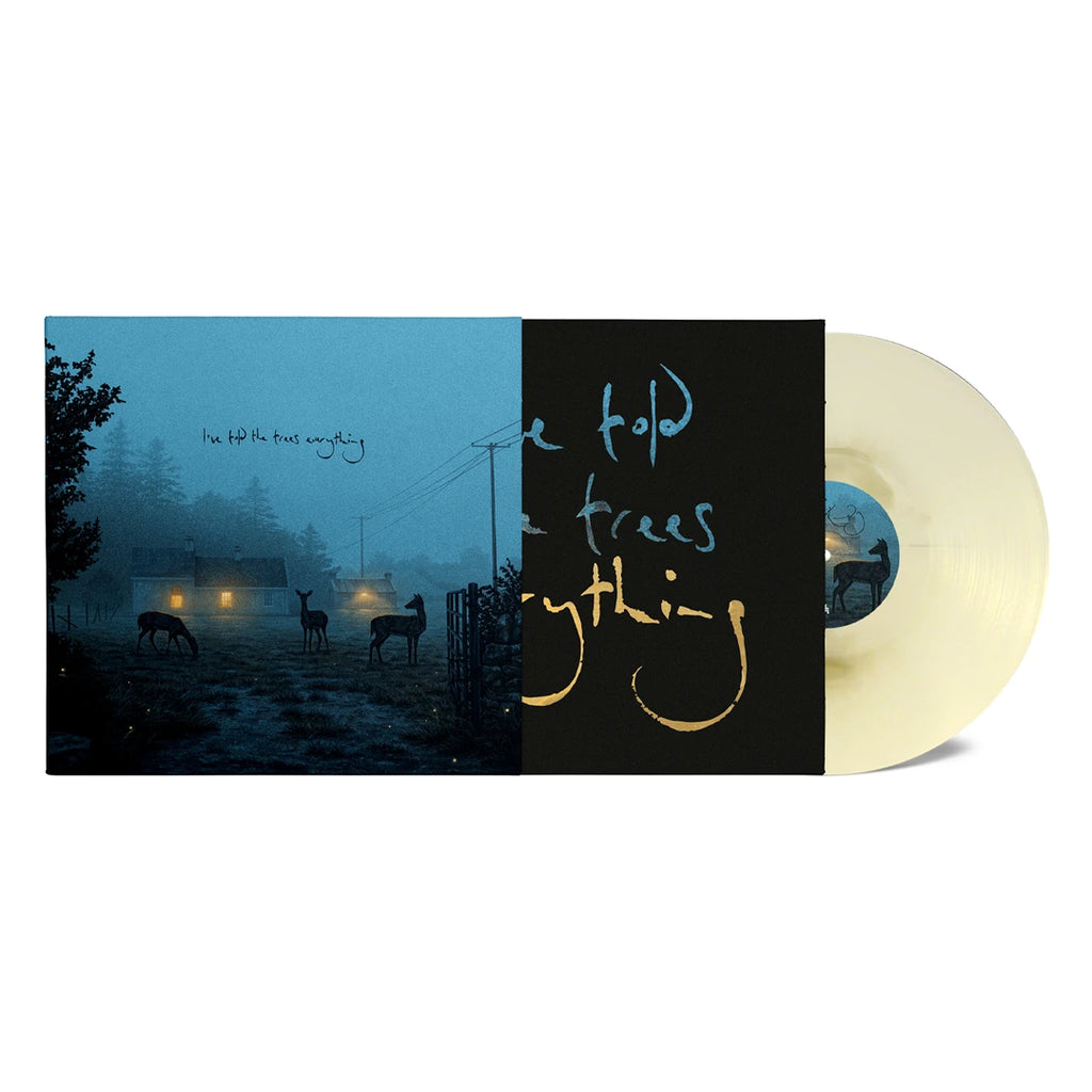 I've Told The Trees Everything (Store Exclusive Marble 12" EP) - Dermot Kennedy - musicstation.be