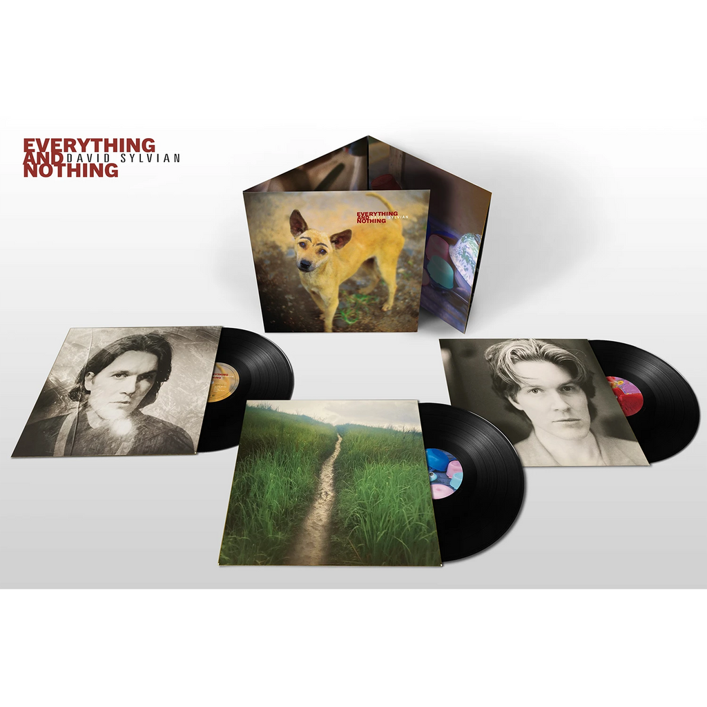 Everything & Nothing (3LP) - David Sylvian - musicstation.be