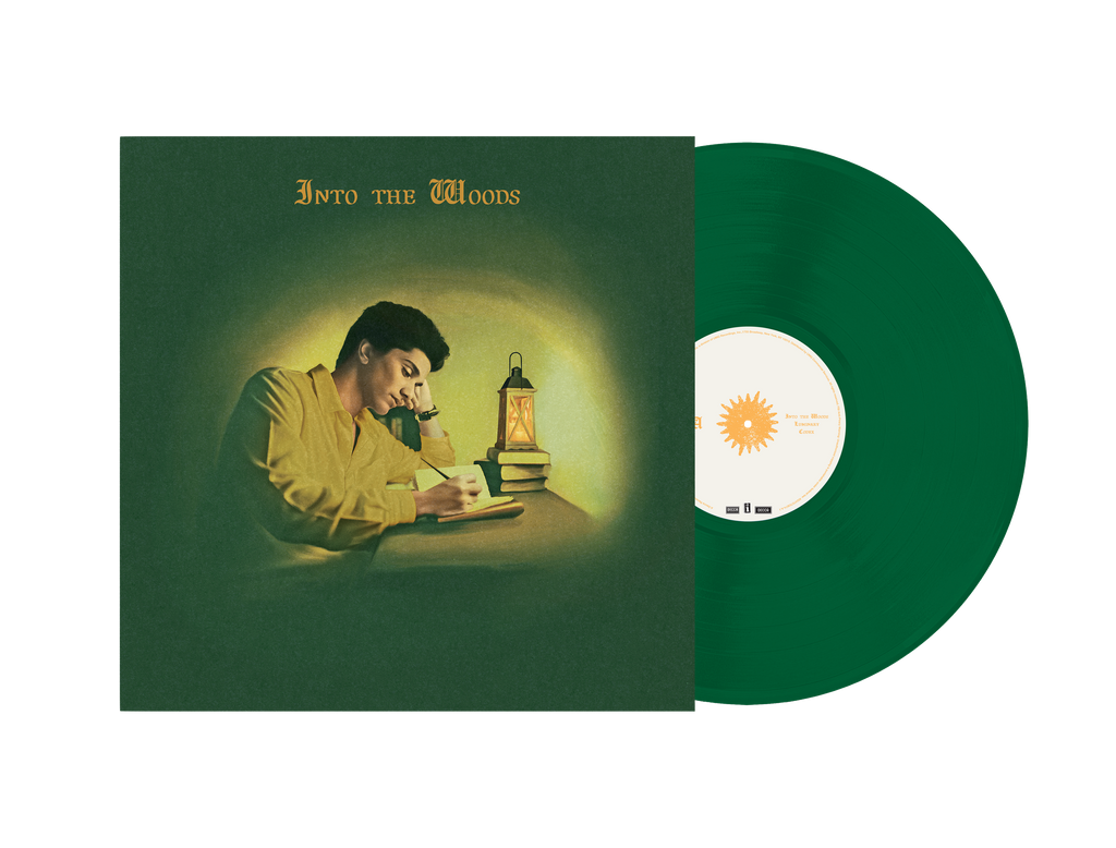 Into The Woods (Opaque Evergreen LP) - Joel Sunny - musicstation.be