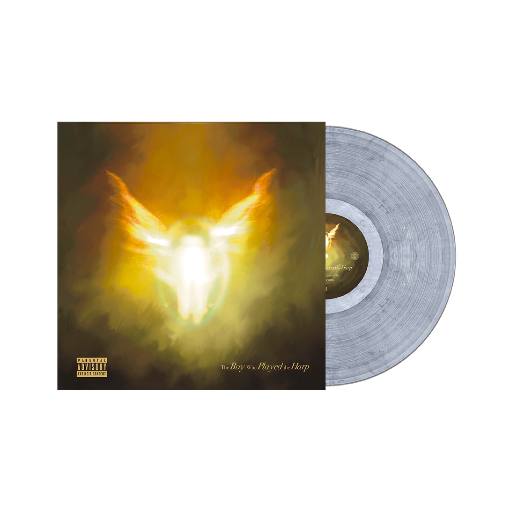 The Boy Who Played the Harp Exclusive Silver Marbled 2LP Vinyl - Dave - musicstation.be
