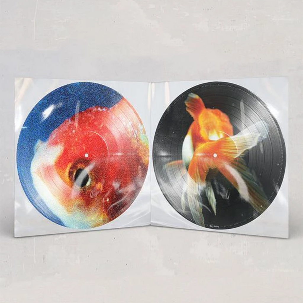 Big Fish Theory (Picture Disc 2LP) - Vince Staples - musicstation.be