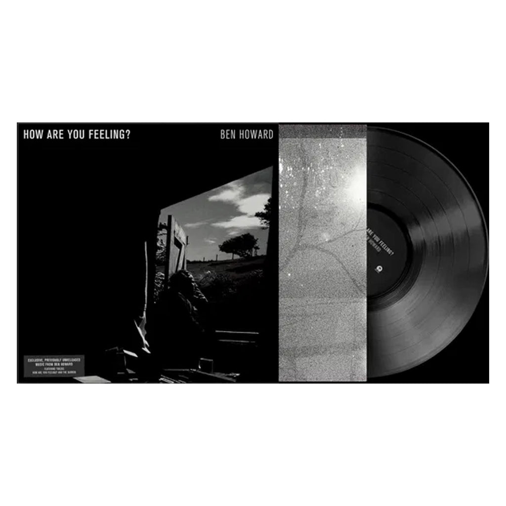 How Are you Feeling? (Store Exclusive 12” LP) - Ben Howard - musicstation.be