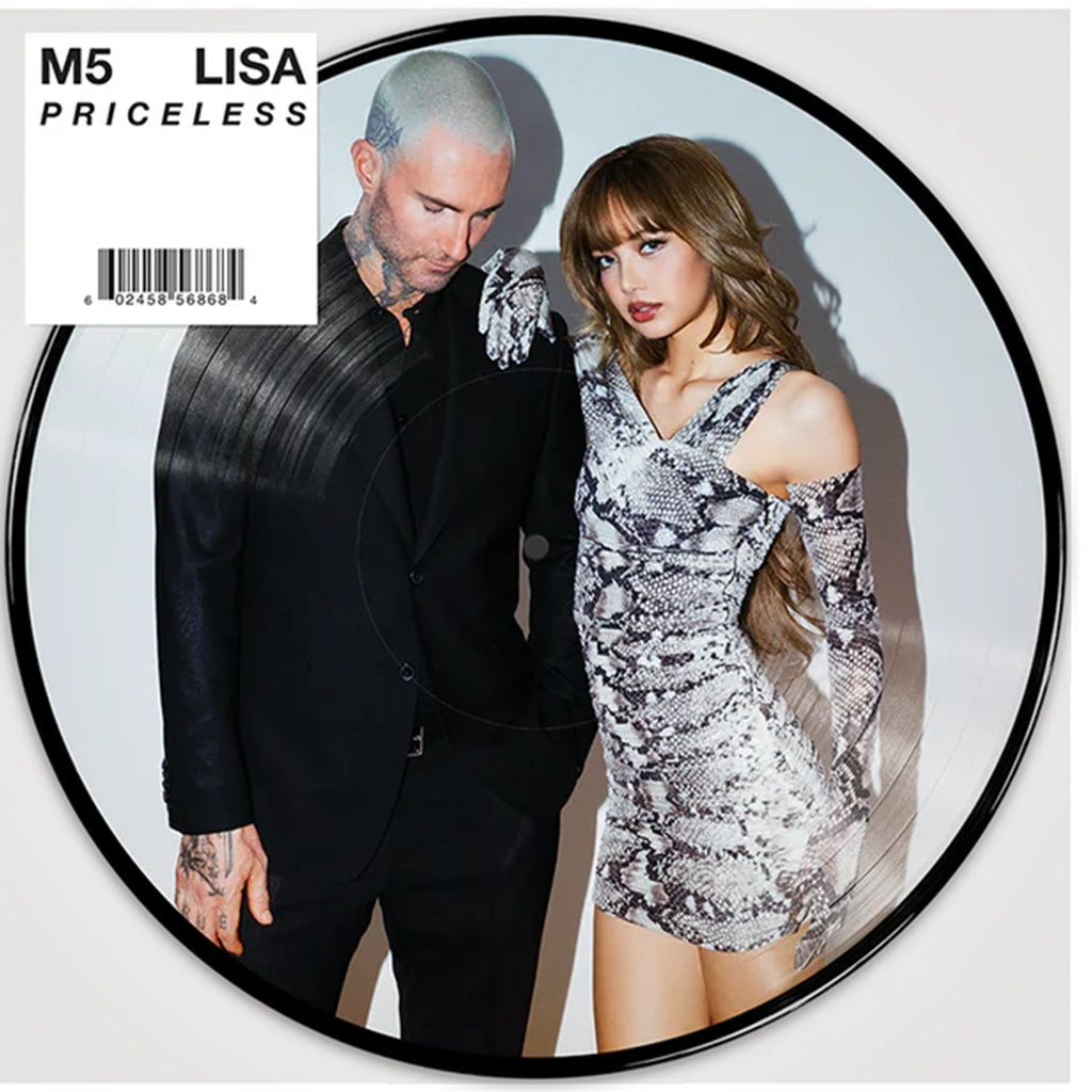 Priceless (Store Exclusive 7inch Picture Disc Single) - Maroon 5 - musicstation.be